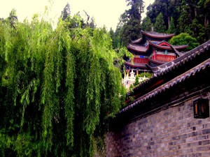 15_1_lijiang